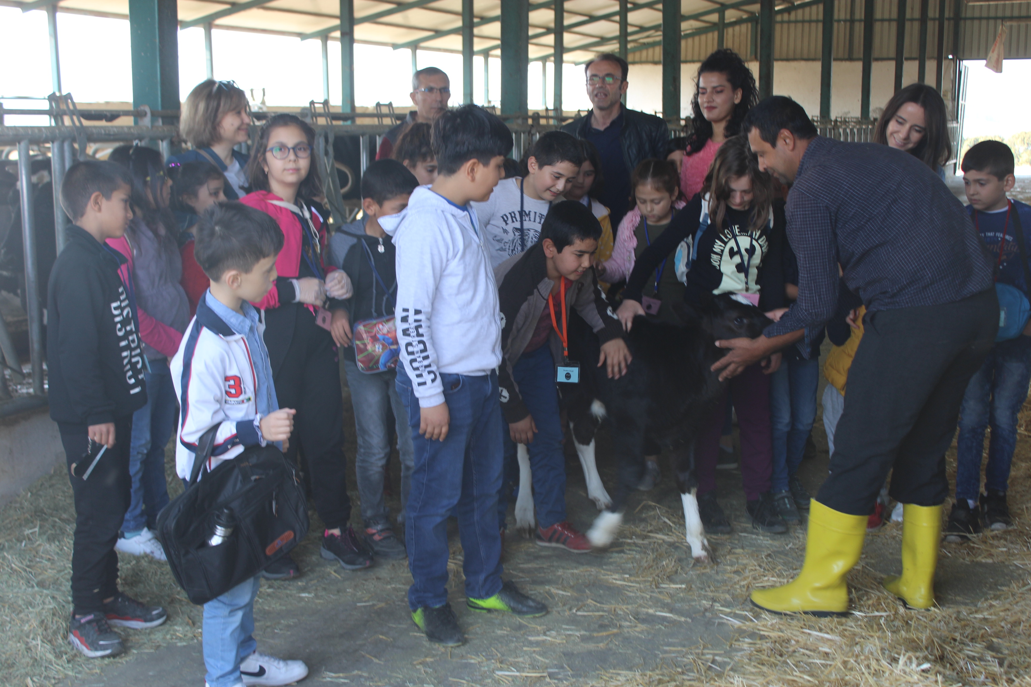 2019 Güz Dönemi Çocuk Eğitimi Uygulama ve Araştırma Merkezi Eğitim-Öğretim Faaliyetleri Çiftlik Hayvanlarını Tanıyalım 