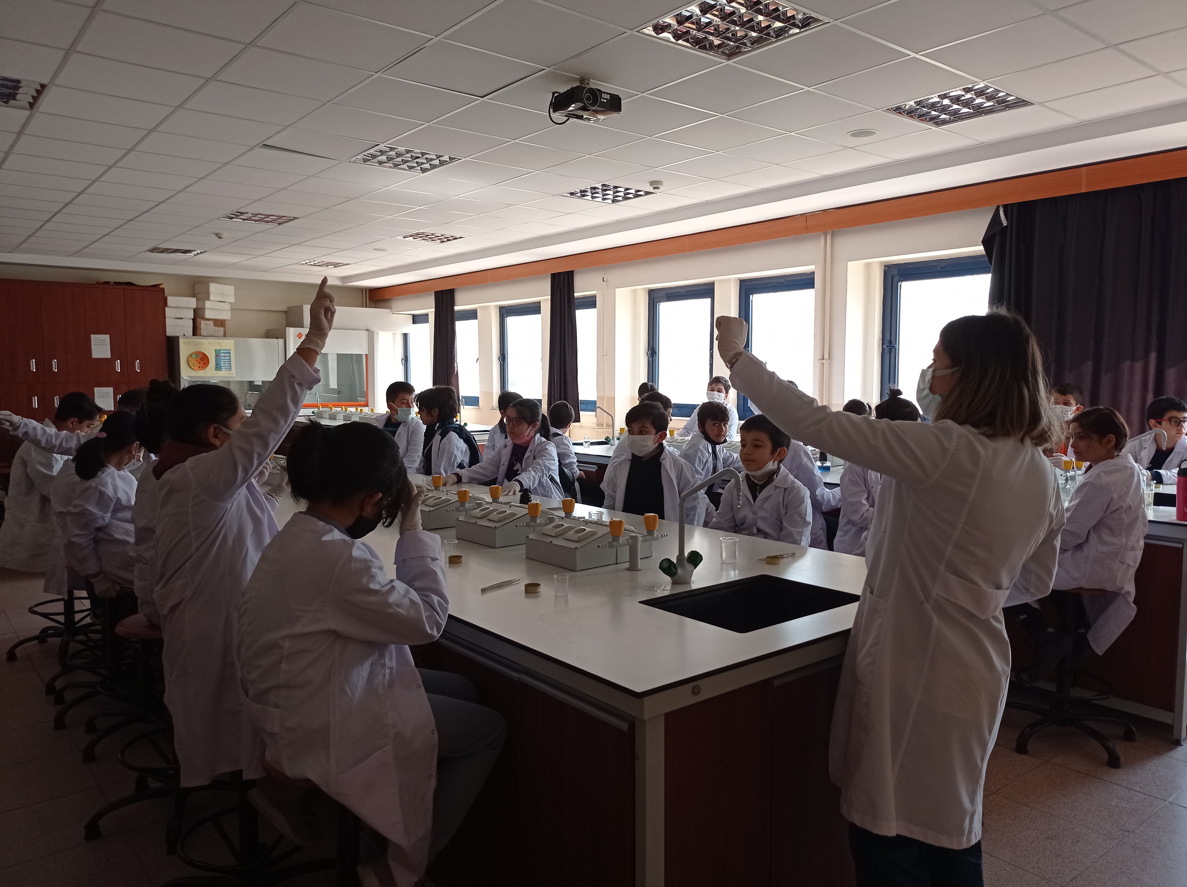 Temel Fen Laboratuvar Eğitimi 26.03.2022