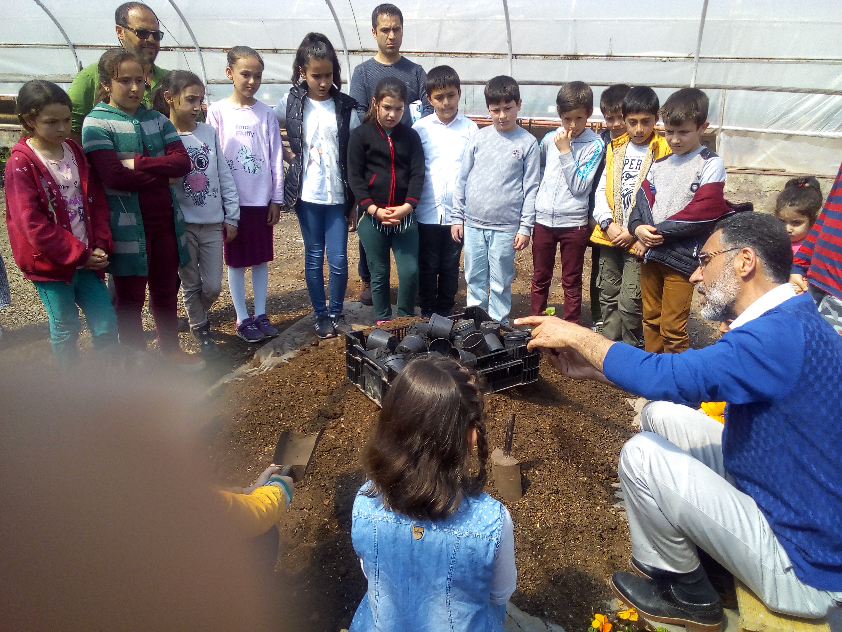 Çocuk Eğitimi Uygulama ve Araştırma Merkezi Bitki Florası 
